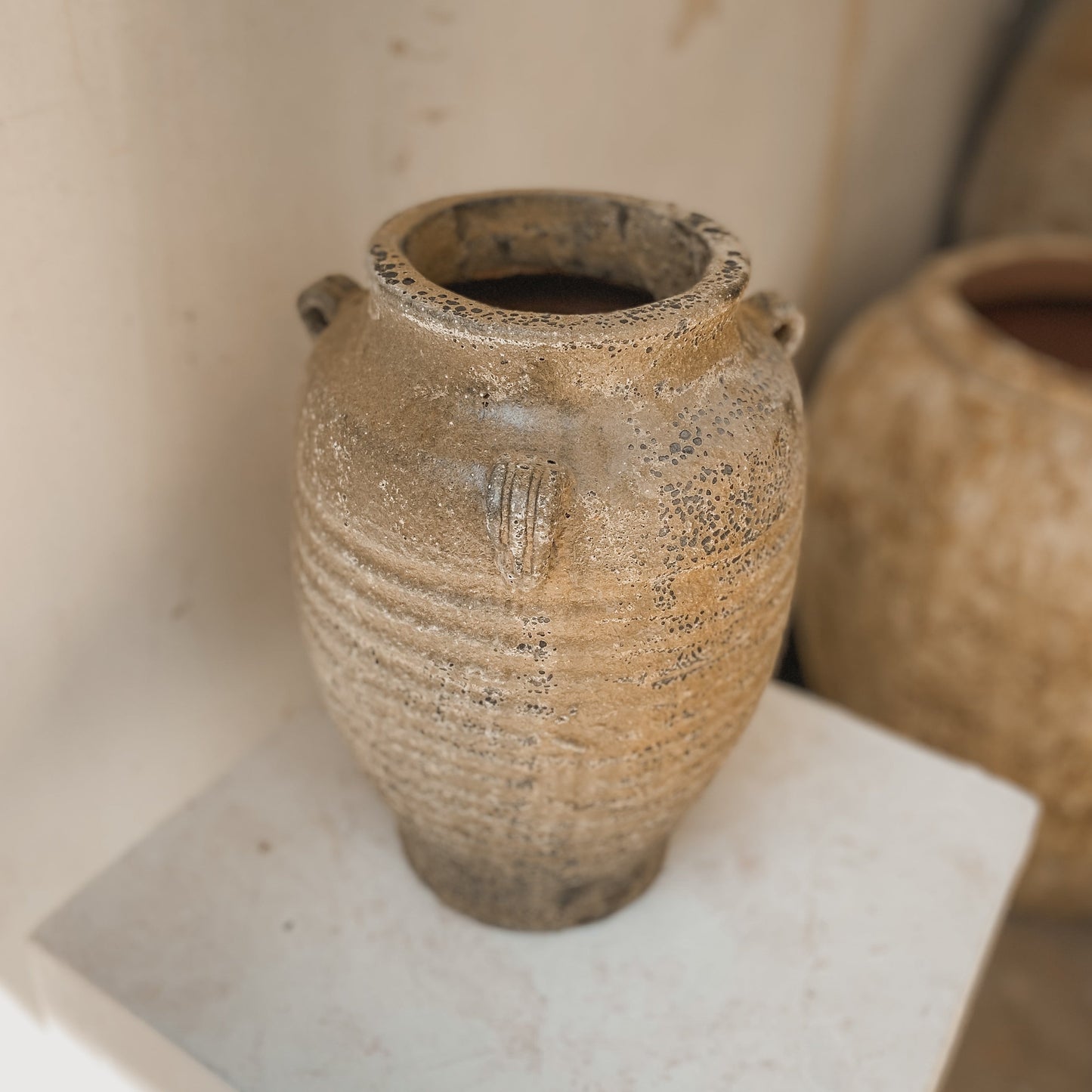 Maison Luna Kuma 13" x 10" Vessel