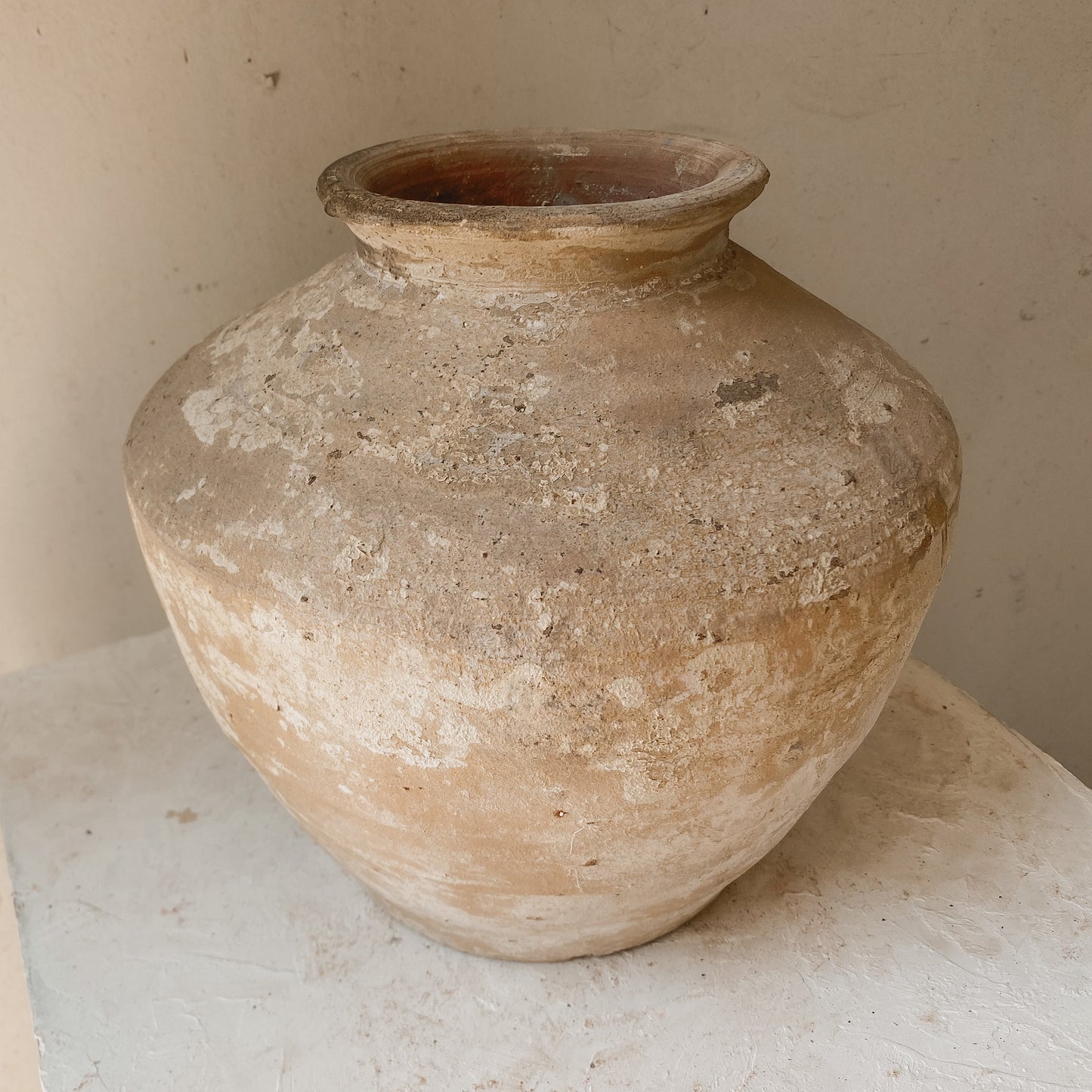 Maison Luna Cora 11” x 11” Vessel