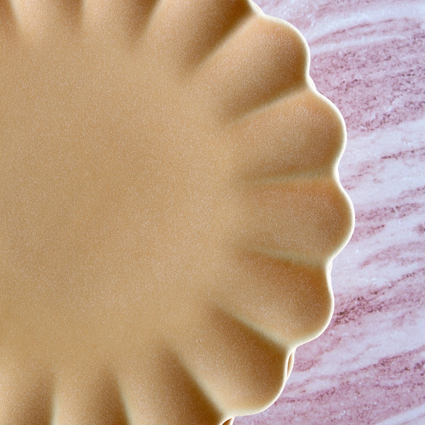 Dhalia Stoneware Dinner Plates, Set of 4 - Camel