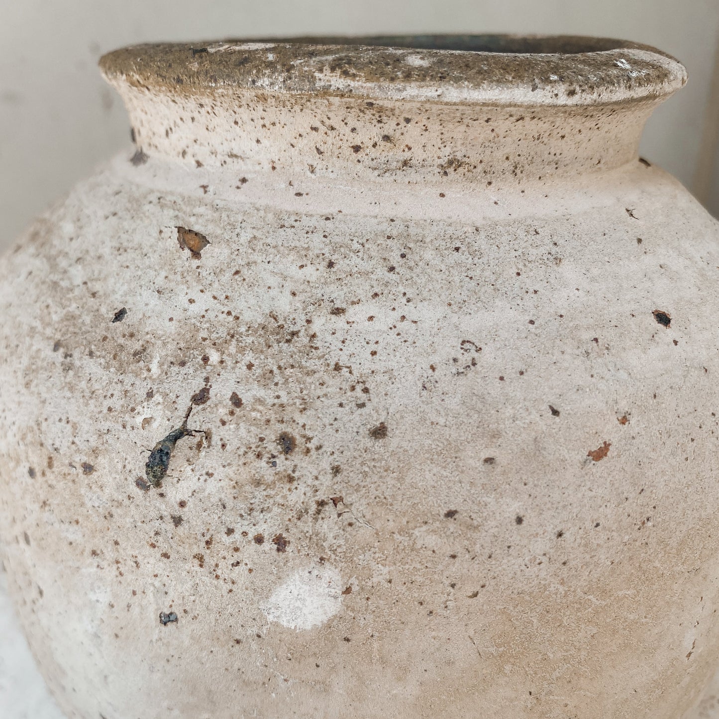 Maison Luna Rana 6" x 7" Vessel