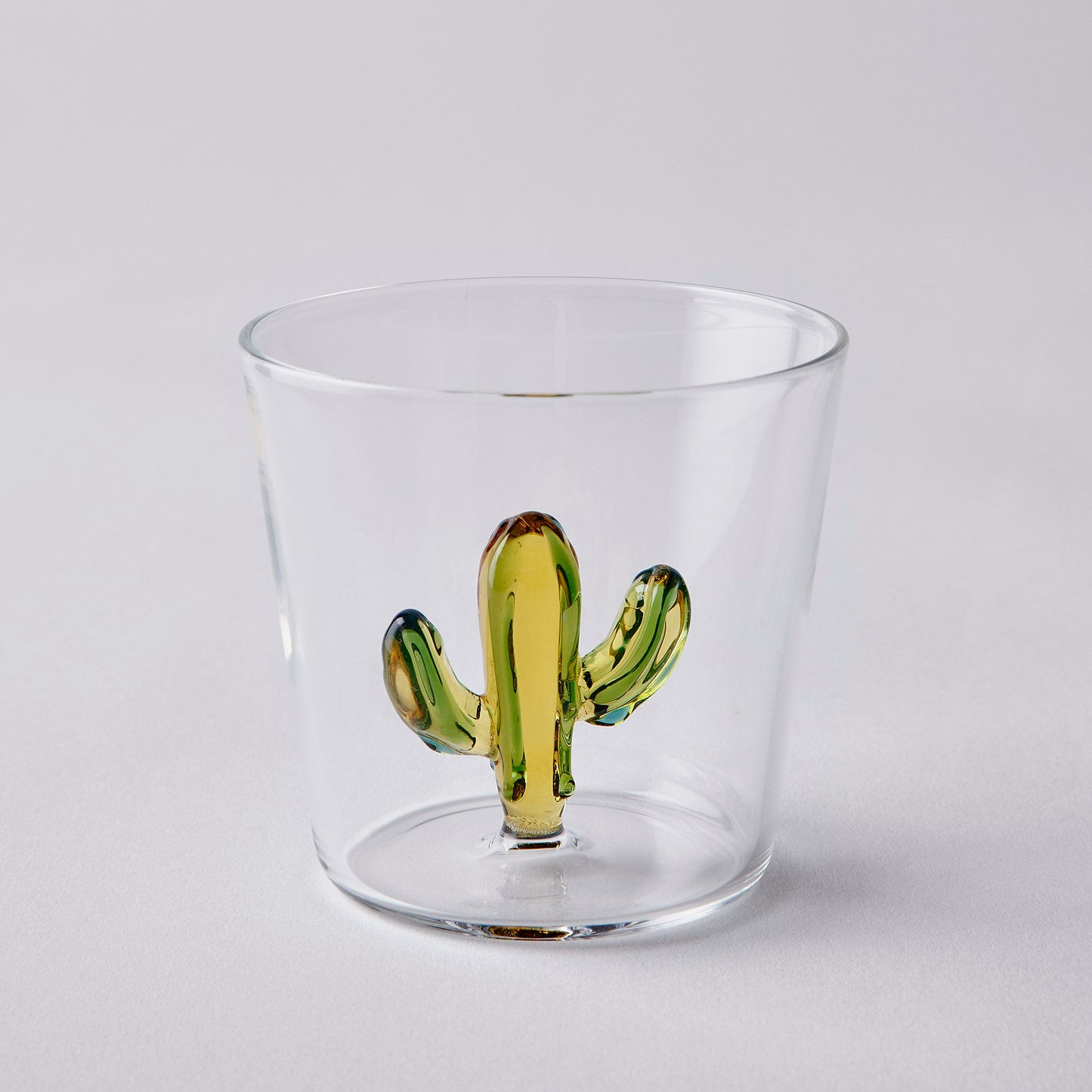 Fantasia Cactus Tumblers