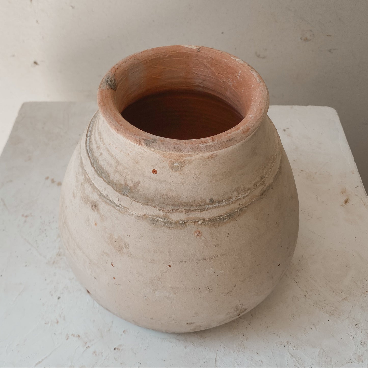 Maison Luna Gorganea 6" x 7" Vessel