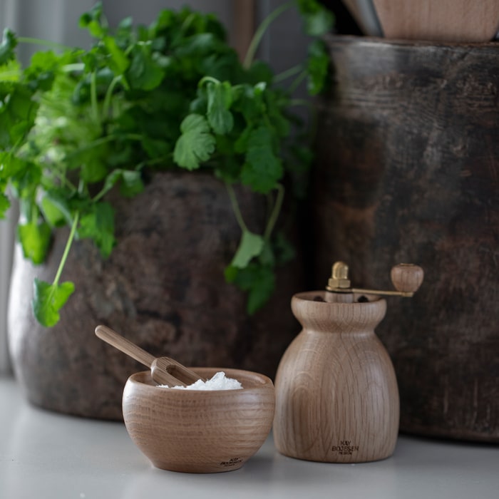 Kay Bojesen Menageri Salt Cellar With Spoon