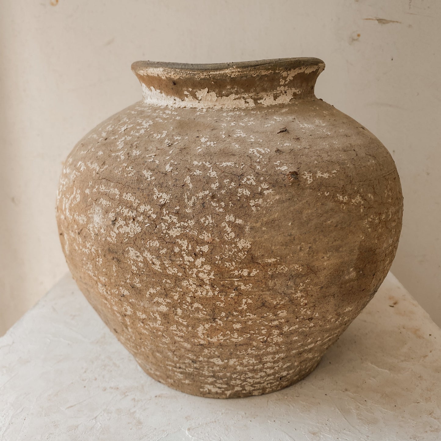 Maison Luna Enif 11" x 11" Vessel