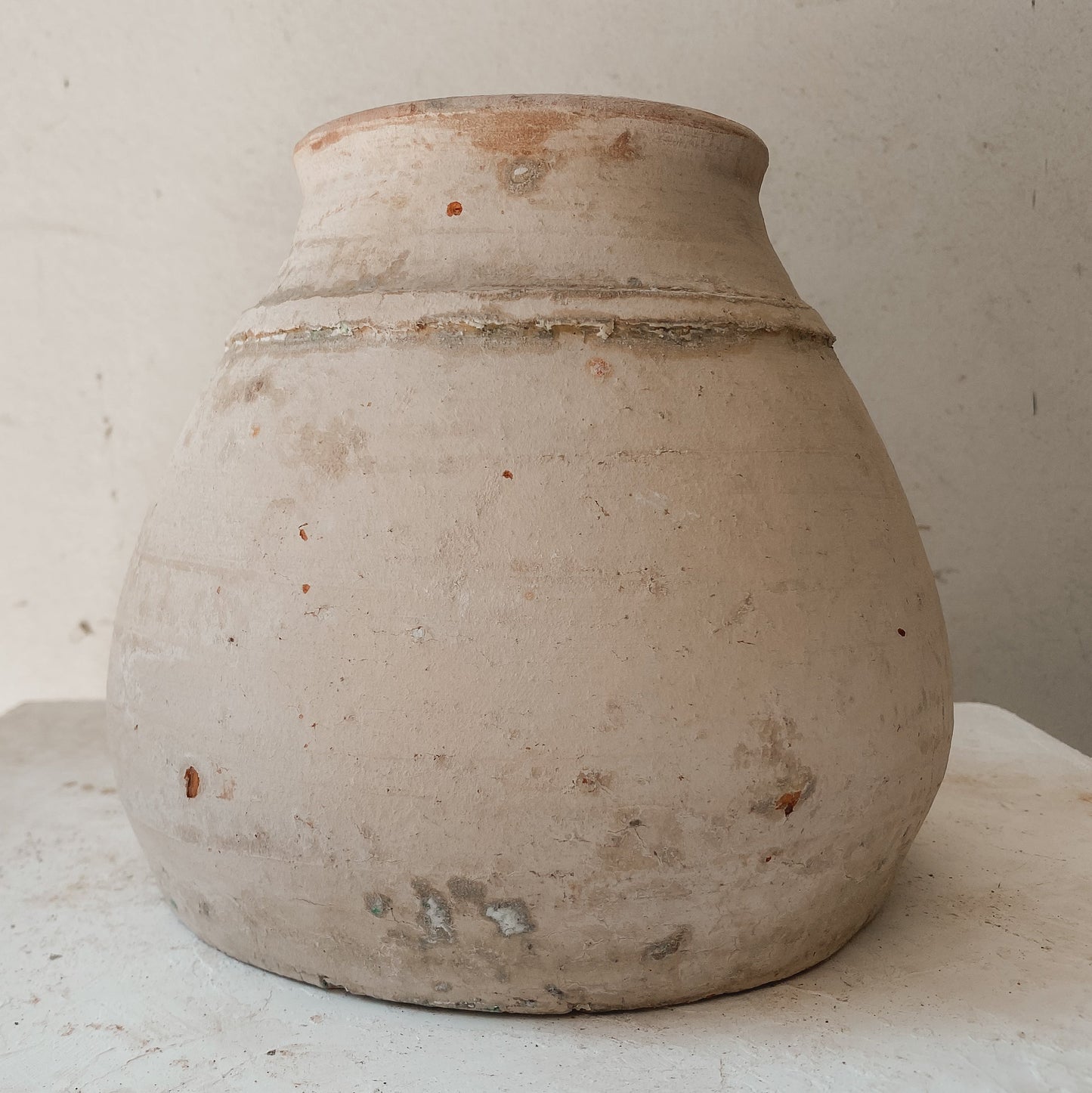 Maison Luna Gorganea 6" x 7" Vessel