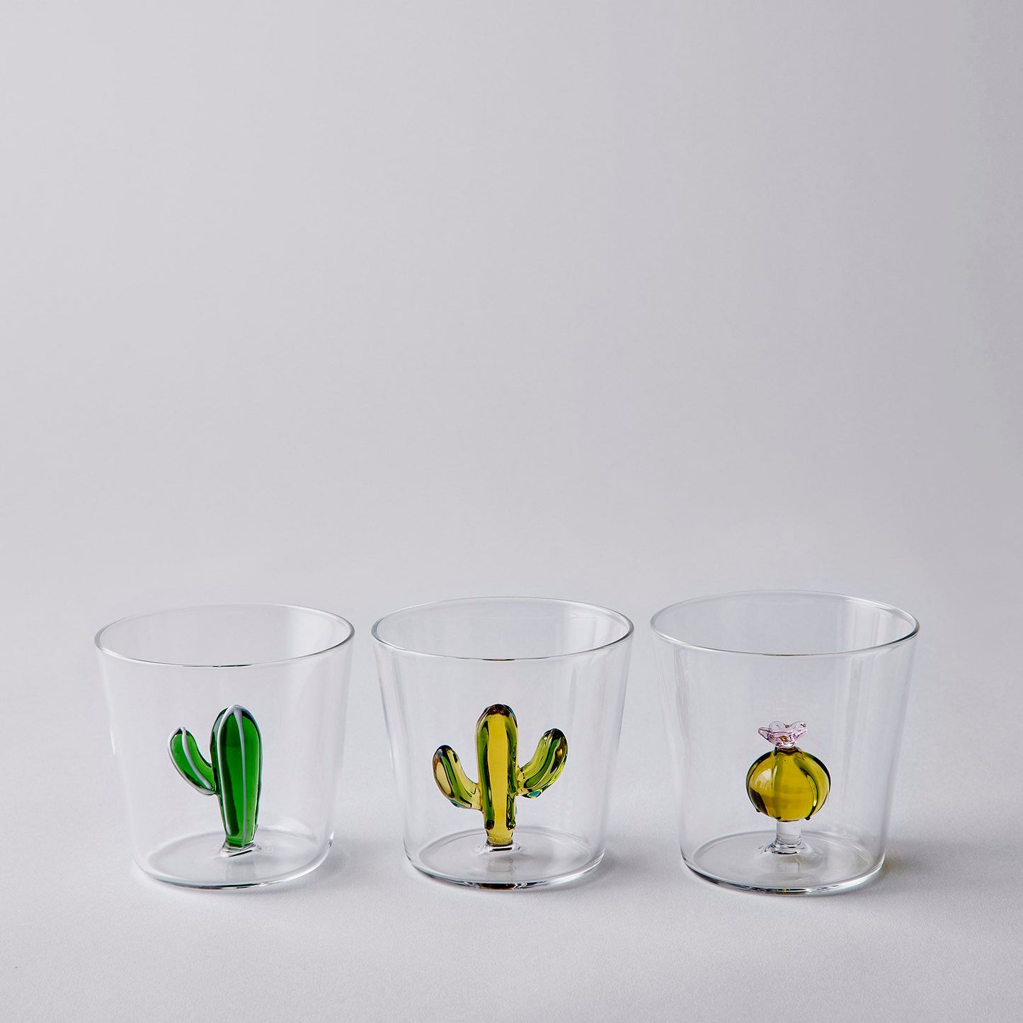 Fantasia Cactus Tumblers