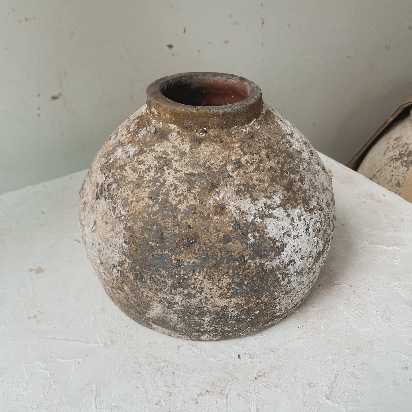 Maison Luna Asellus 6" x 7" Vessel