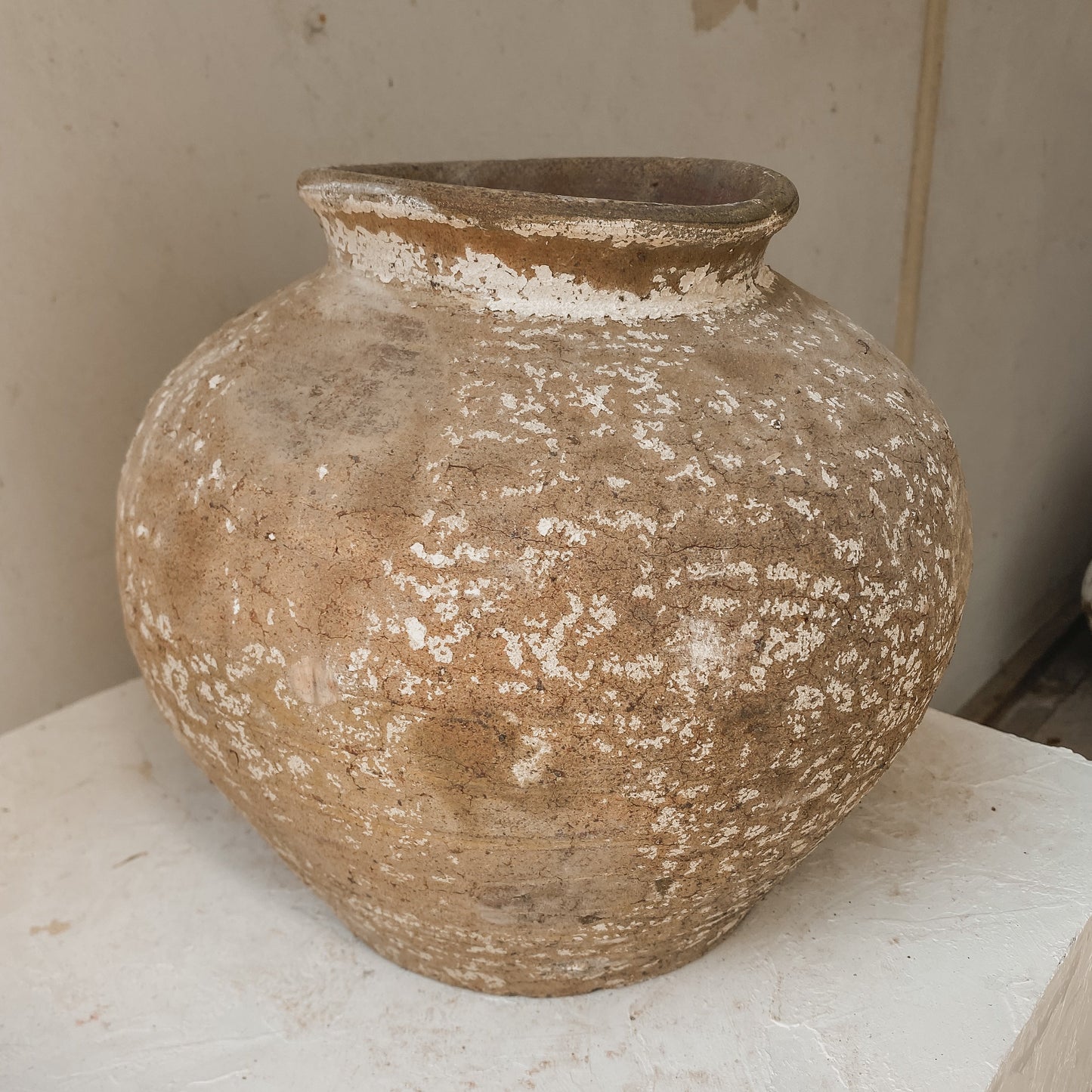 Maison Luna Enif 11" x 11" Vessel