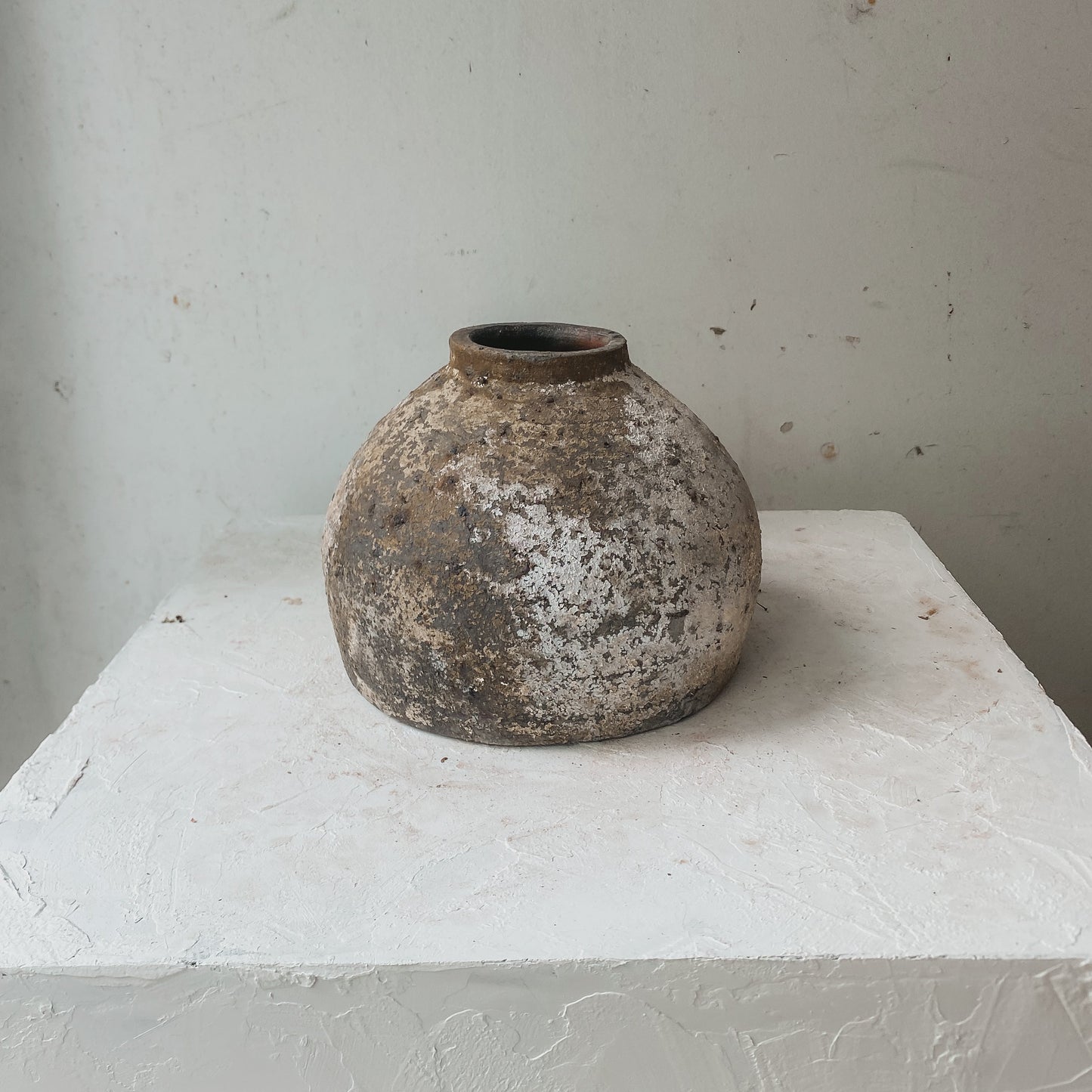 Maison Luna Asellus 6" x 7" Vessel