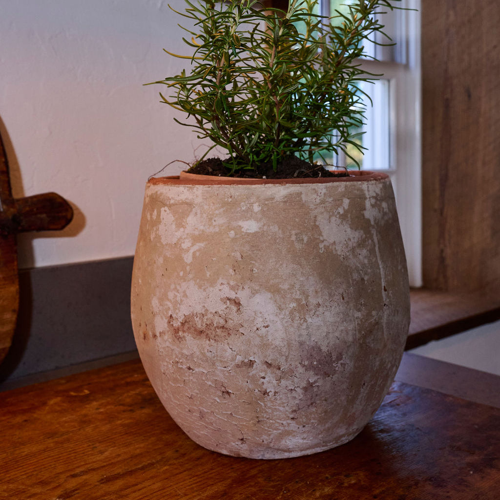 Maison Luna Helene 9" x 9" Vessel