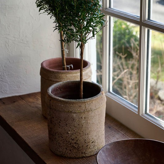 Maison Luna Altair 7" x 7" Vessel