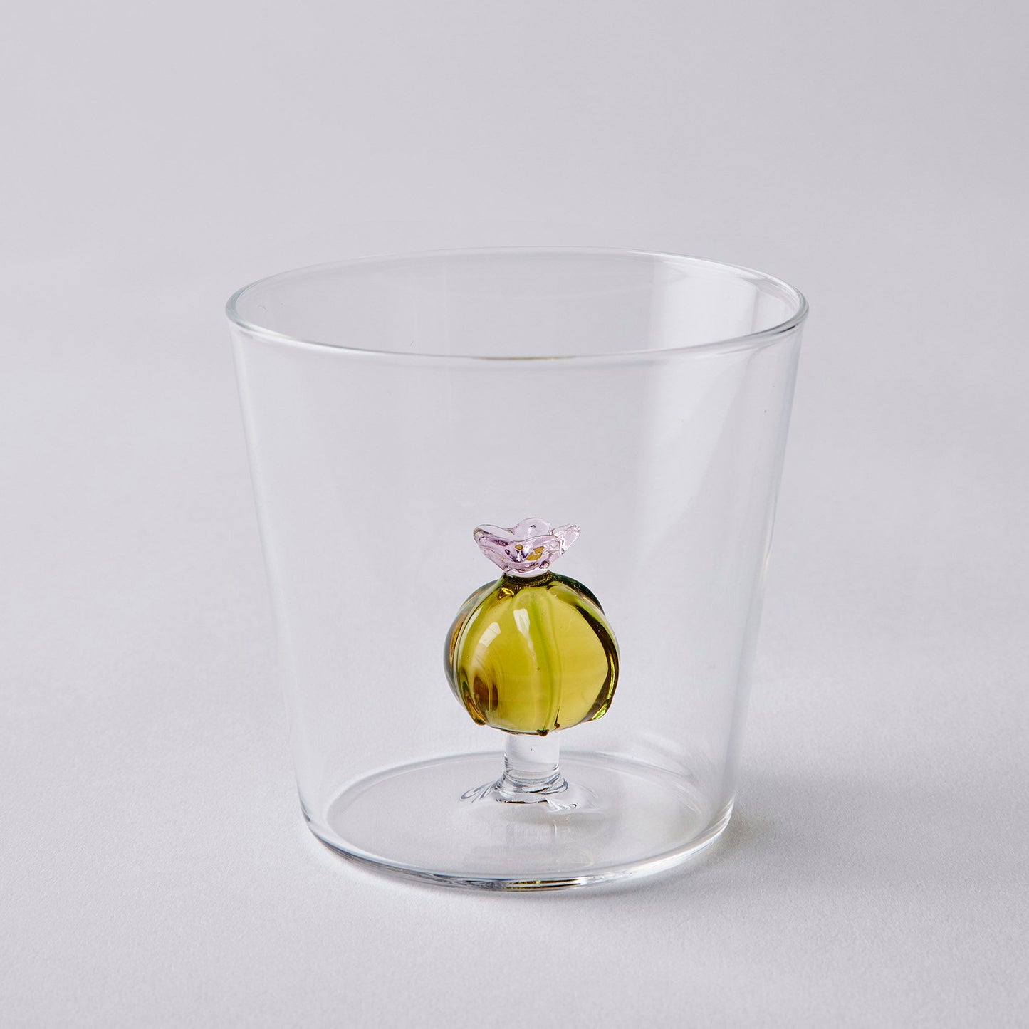 Fantasia Cactus Tumblers